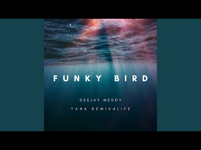 Funky Bird (Remix) class=