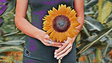 Adobe Photoshop Elements 2023