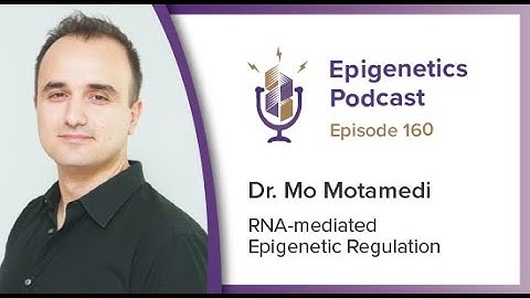 Epigenetics Podcast #160 - RNA-mediated Epigenetic Regulation with Mo Motamedi