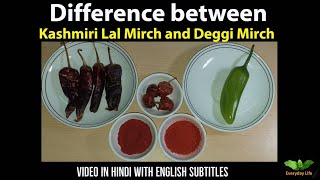 Difference between Kashmiri Red Chilli Powder & Deggi Mirch |  भारतीय मिर्चे  | Everyday Life #66