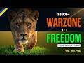 Wildlife Rescue Stories: From the Brink of Death to Freedom — Yuna, Fred & Papum
