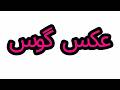    عکس گوس