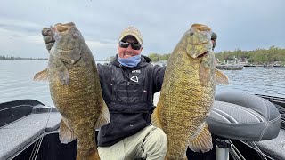 6+lb Smallmouth Spring Bass Fishing