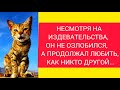 Он всё равно продолжал любить