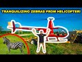 Capturing and Relocating ZEBRAS from a HELICOPTER!!! (Tranquilizer)