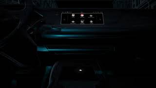 DS 4 : DS IRIS SYSTEM