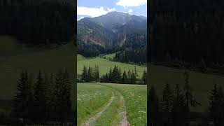 Provinz Bozen ,Südtirol 🇮🇹