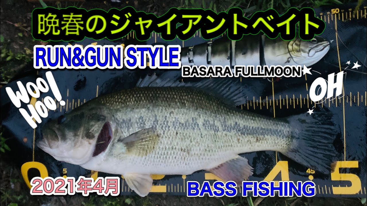 BASARAバサラ エンタイス ブルシューター ジャイアントベイト ビッグベイト 春バス釣り】＃ビックベイト#ジャイアントベイト#釣り方#BASARA