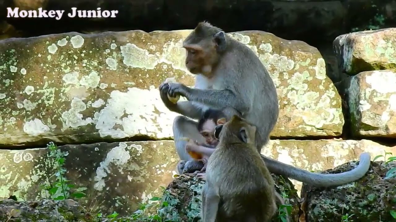 Janna looks so jealous Julina till she attempts to kidnap Jasper baby