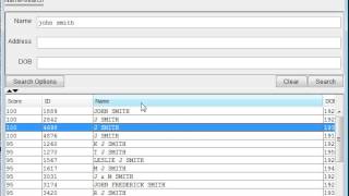 How to use Lite search client in IIR