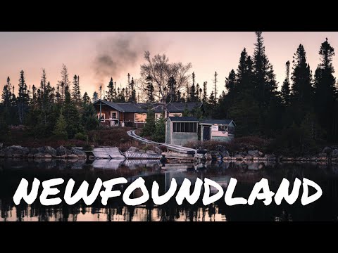 NEWFOUNDLAND | Moose and Caribou Dream Hunt