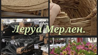 Леруа Мерлен. Товары для дома. Рассада.