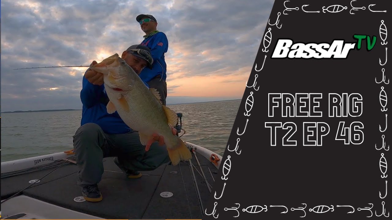 BassArTv T2 Ep 46 Free Rig