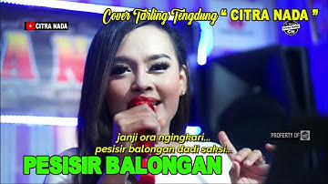 PESISIR BALONGAN - IKA BONITA || COVER TARLING TENGDUNG CITRA NADA