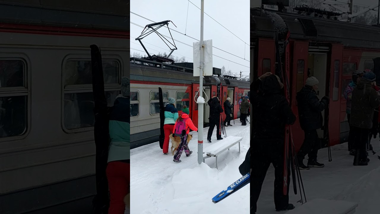 "Лыжная стрела"  - 2019 в Санкт-Петербурге. Катание на лыжах в Орехово.