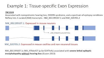 Transcript Overview Part 1: Transcript Annotation