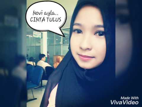Novi ayla Cinta Tulus with Lyric