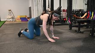 Shoulder Taps (Knees Down & Hovering)