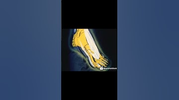 Space Adventure Cobra 1982