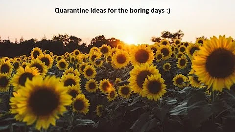 WHAT TO DO WHEN YOUR IN QUARANTINE :)