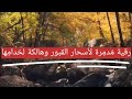 رقية القبور والمدفون وسحر التعطيل ومحق المحال وحرق شيطان القبور رقية القبور والمدفون وسحر التعطيل ومحق المحال وحرق شيطان القبور