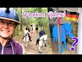 1700KM RIJDEN OM EEN PONY OP TE HALEN & PONYKAMP BEGELEIDEN! | felinehoi WEEKVLOG #282