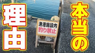 【続】モラル皆無…釣り禁止の本当の理由がヤバい…