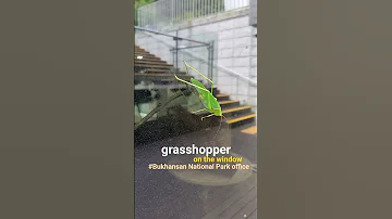 Grasshopper On The Window 북한산국립공원 Nature History Culture Trail Explore Guide 