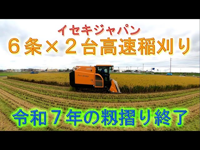 にじのきらめきで令和7年の籾摺りが終了しました・和多農産の稲刈りを