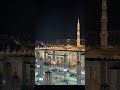 Tajdar e haram#love#beautiful#islamicfigure#