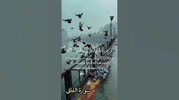#سورة_الفلق #اكسبلور #القزابري #الرحمن #تيك_توك #المصحف #لايك #duet #دويتو #ترند #حالات_واتس