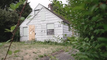 Tacoma Report Overgrown Vegetation 3-11-17