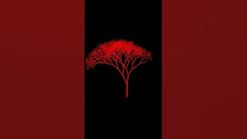 Dibujando arbol con python y turtle. #python  #programacion  #pythonturtle