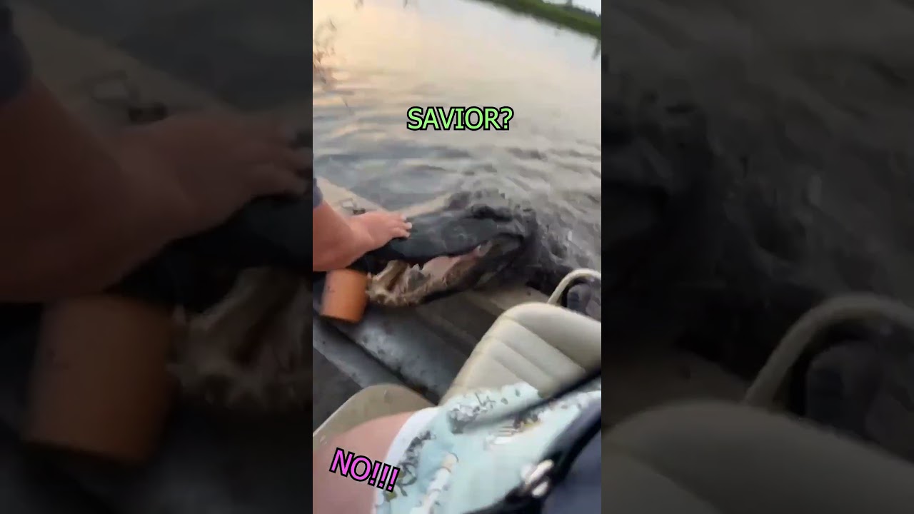POV: АЛЛИГАТОР забирается в ВАШУ ЛОДКУ!!! 🐊⚠️