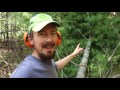Tree To Beam - Freehand Chainsaw Milling