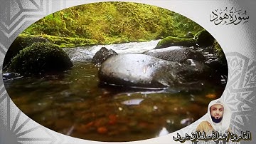 سورة هود كاملة بصوت القارئ / معاذ سلطان شرف