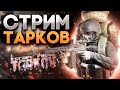 187 День поднятия онлайна с 0 | Solo Gaming | PvP | +w | +Adick