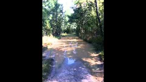 Swamp donkey atv club intro