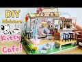 DIY Miniature Kitty Café (Hongda)