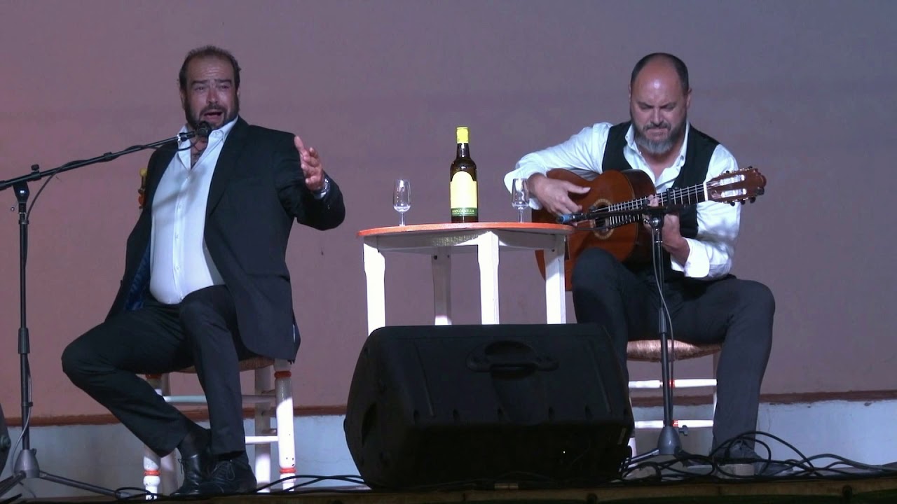 Miguel de Tena (Petenera)