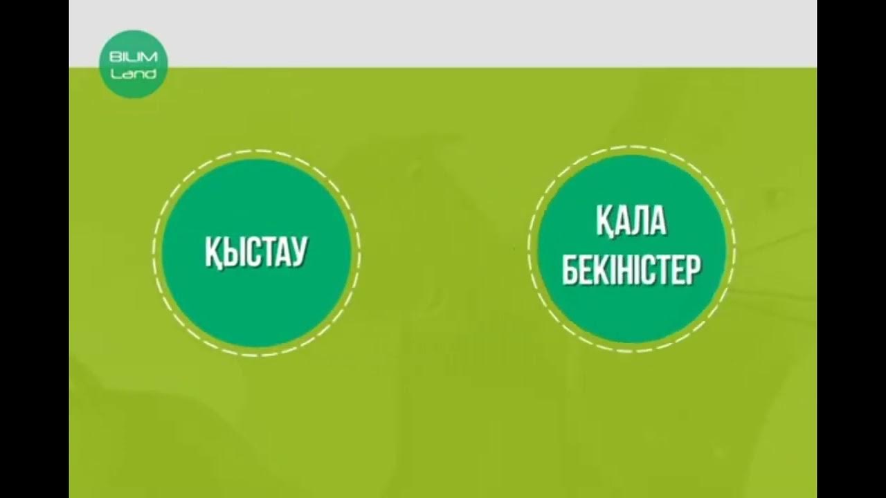 Свингерлердің, әйелдердің және күйеулердің көріп жатқан порно видеосы