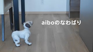 aiboのなわばり