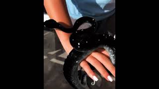 Have you ever seen this black python?🐍 #shorts