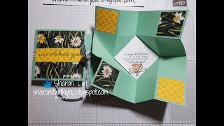 #62 VIDEO POP UP Explosion card tutorial with pictures