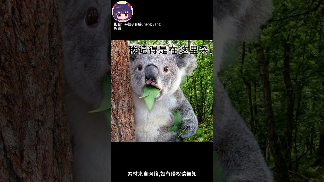 【腦子有成配音】這葉子，味道怎麼這麼熟悉？ | MYViki