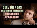 Der, die, das? РОД существительных в немецком. ВСЕ критерии! | Немецкая грамматика