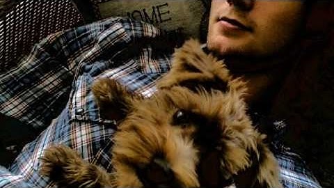 Jimmy Robbins - Step One ~ TRIBUTE ~