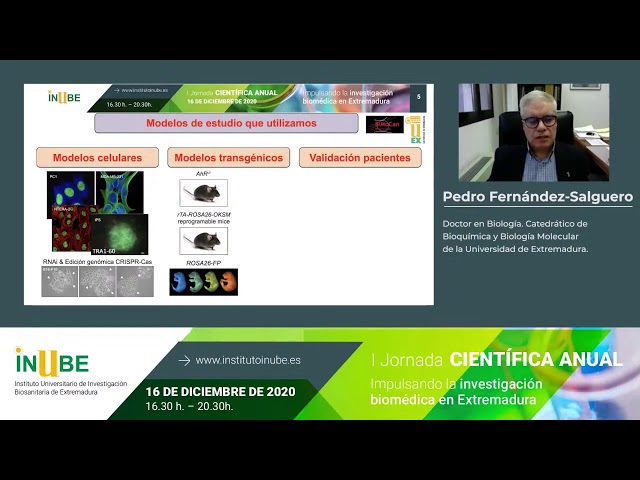 INUBE - Unidad Oncología