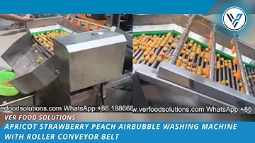Apricot Strawberry Peach Airbubble Washing Machine with Roller Conveyor Belt