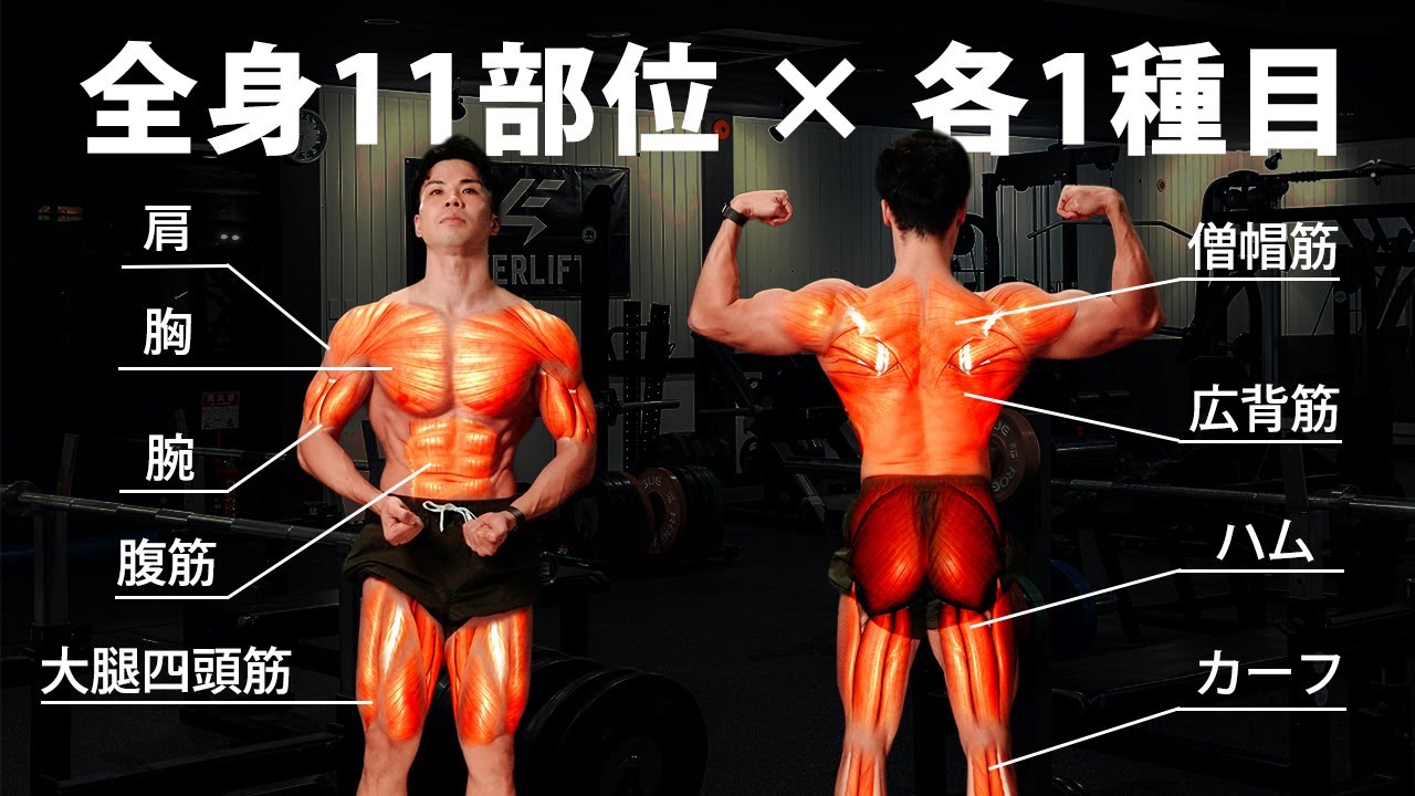 各部位1種目だけ選ぶなら…これ一択です